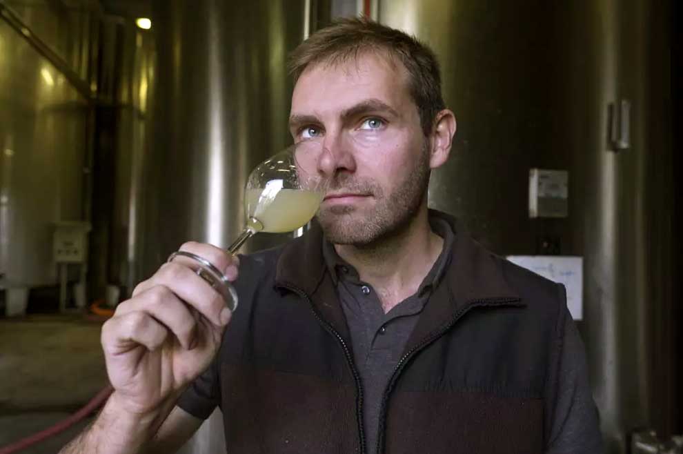 WEINWISSEN -Güteklassen