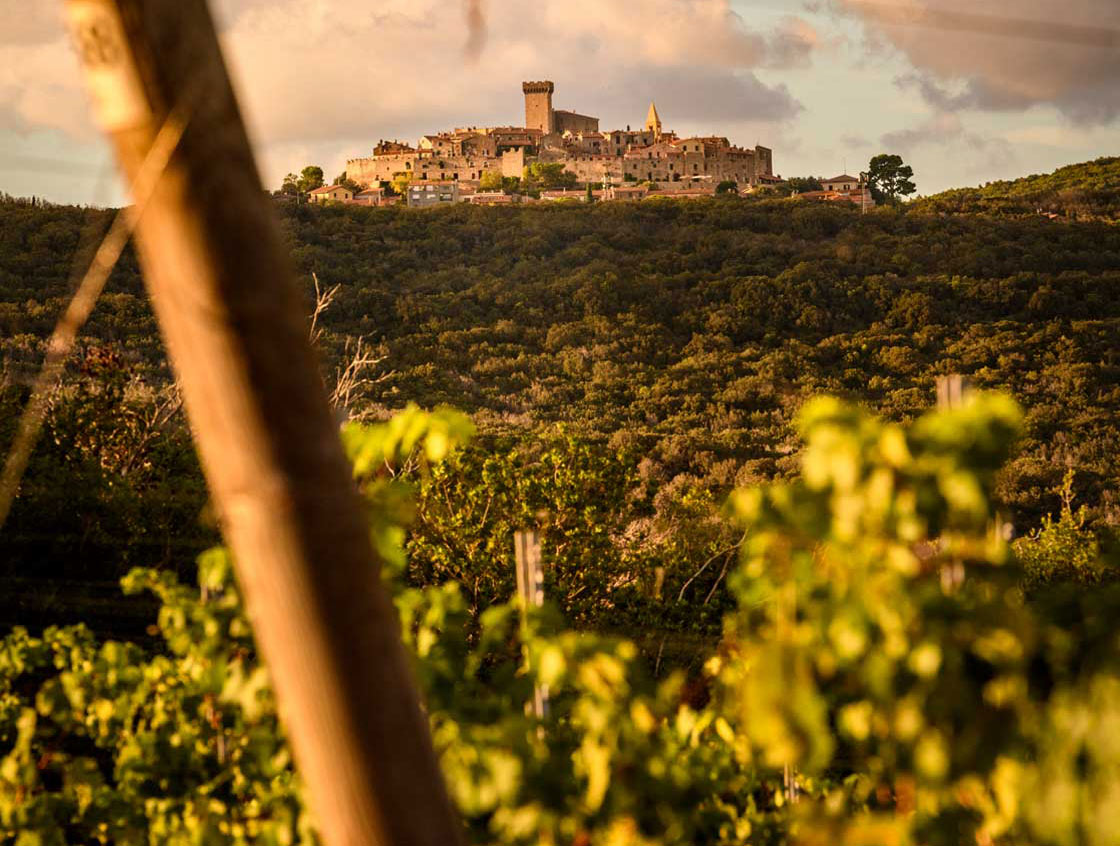 WEINWISSEN - All Stars