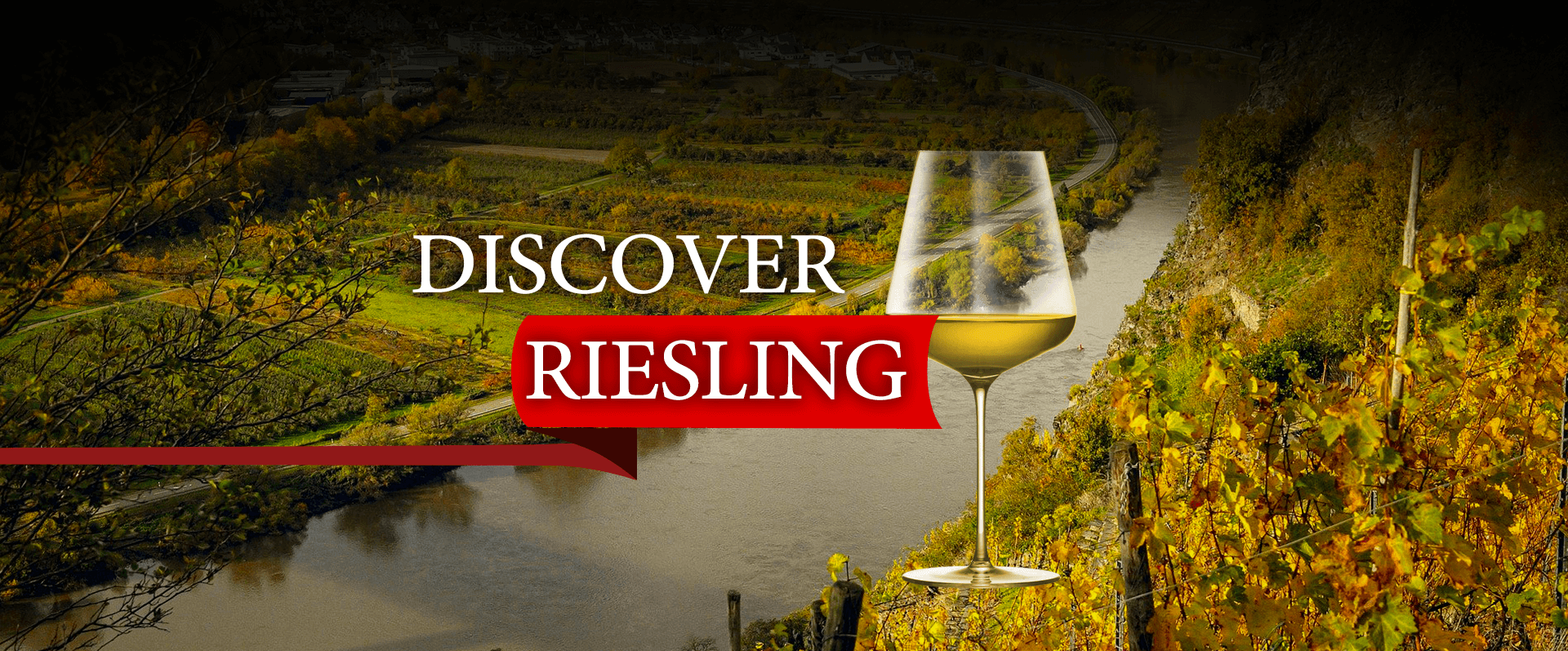 Rielsing zum Paketpreis