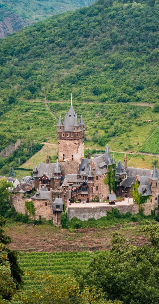 WEINWISSEN - Newcomer aus Deutschland