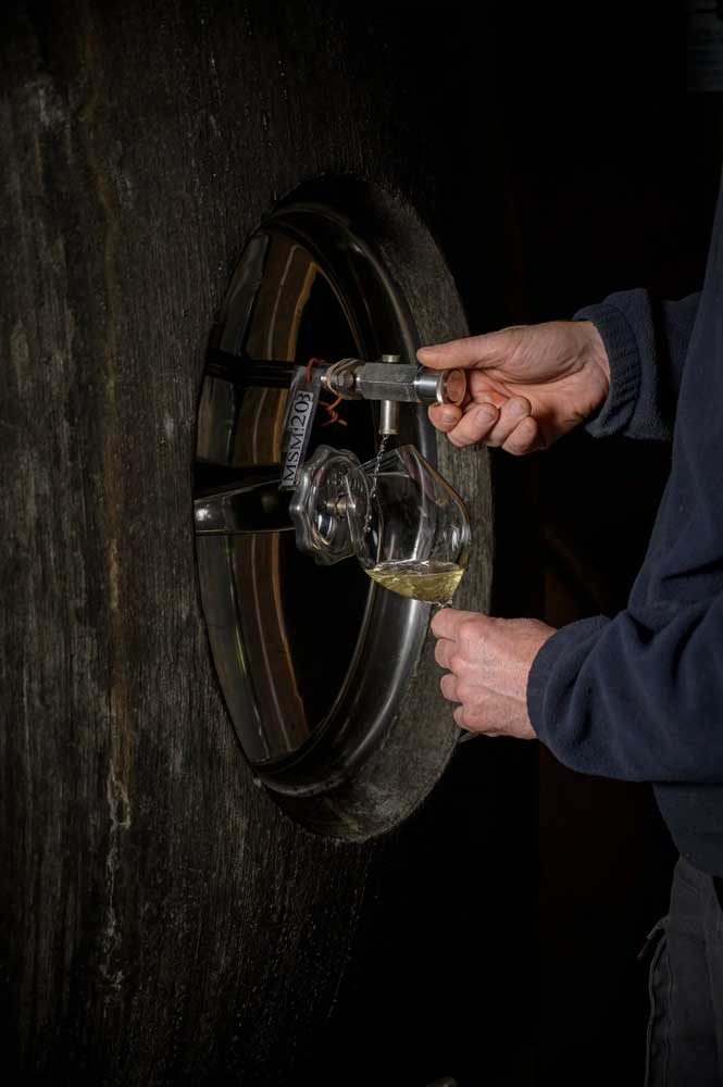 WEINWISSEN - Newcomer aus Frankreich