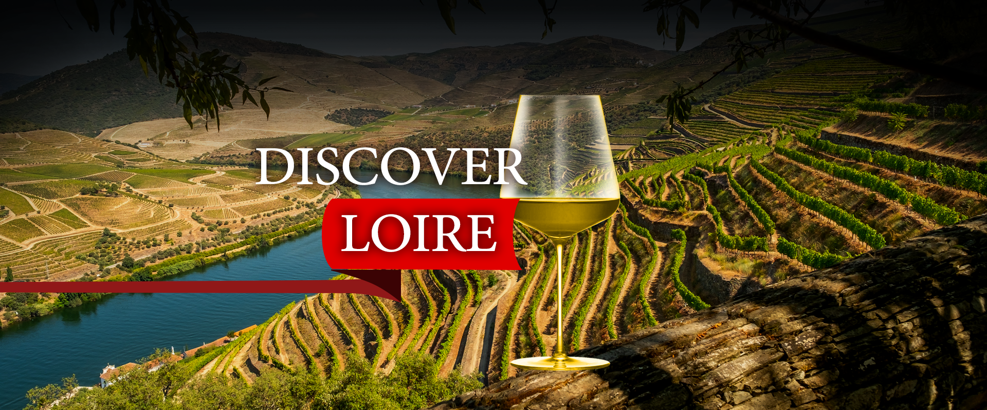 Dein Weinpaket aus dem Loiretal