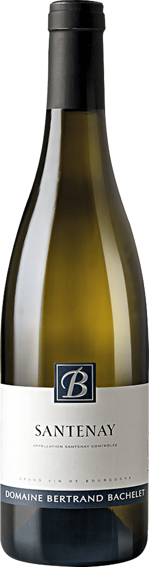 Domaine Bertrand Bachelet Santenay blanc 2019 Domaine Bertrand Bachelet Santenay blanc 2019