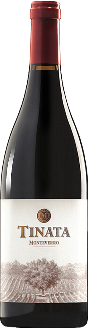 Monteverro Tinata 2019 Monteverro Tinata 2019