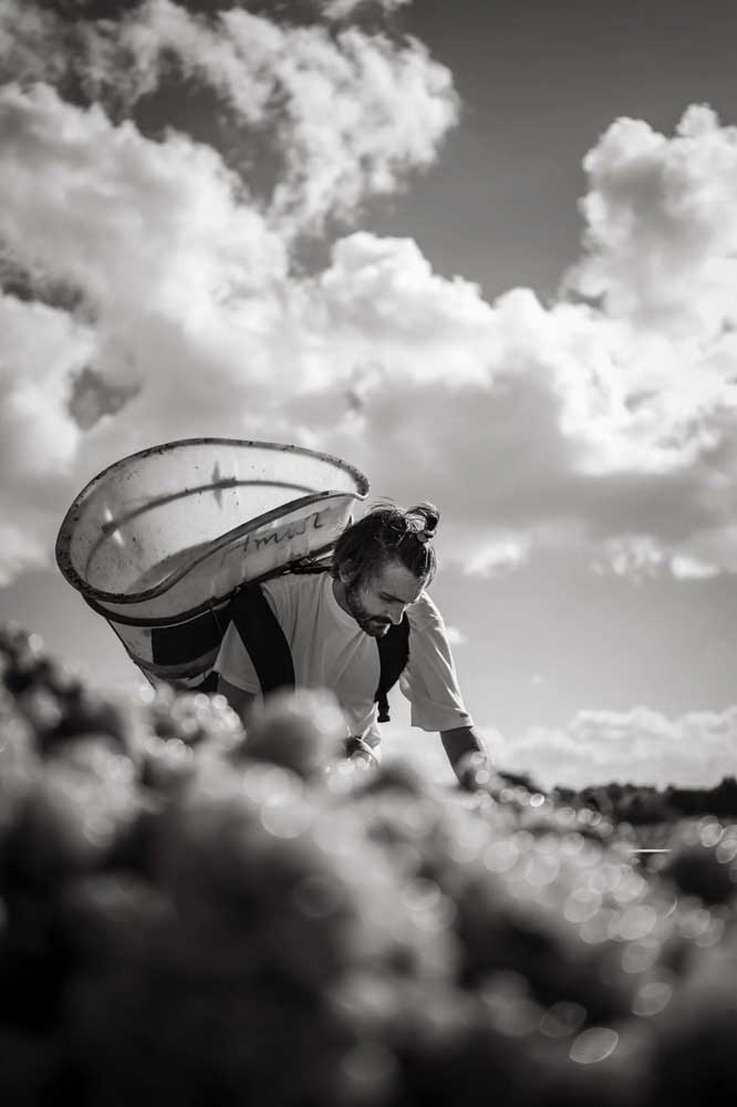 WEINWISSEN - Weinherstellung