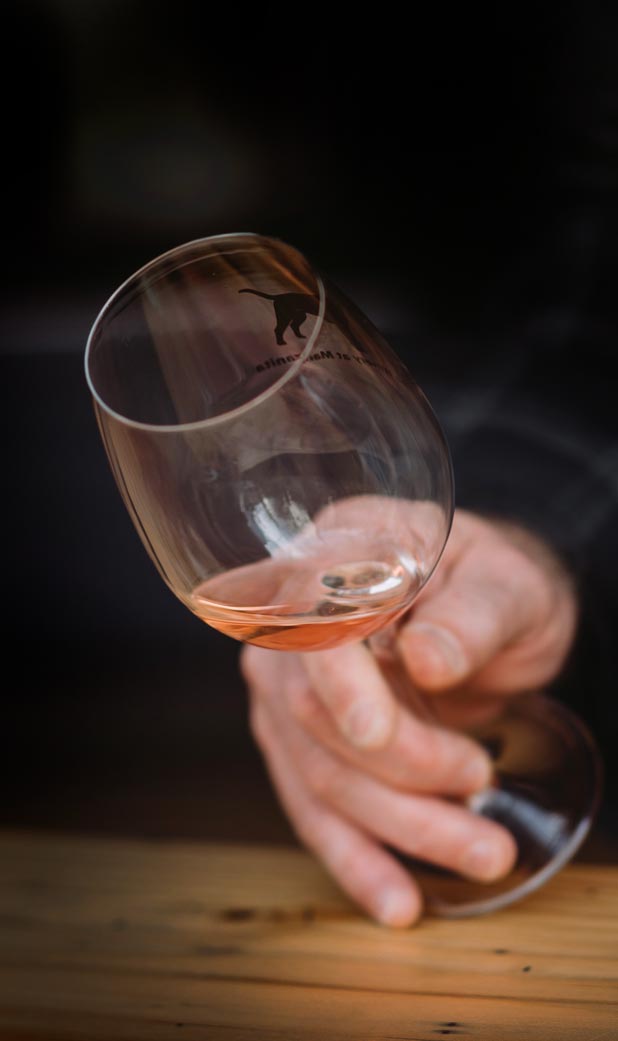 WEINWISSEN - Weine unterscheiden nach Farbe